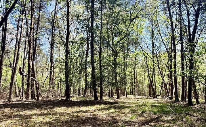 Pictures of Land property located at 0 Timberwood Trce, Monteagle, TN 37356 for sales - image #1