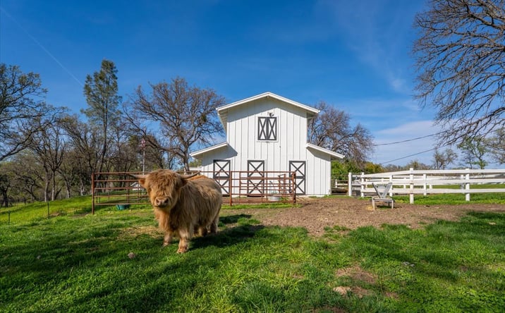 Pictures of Land property located at 16385 River Heights Dr, Red Bluff, CA 96080 for sales - image #1
