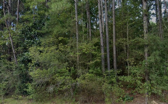 Pictures of Land property located at 996 HICKORY GROVE RD, LUMBERTON, MS 39455-9640 for sales - image #1