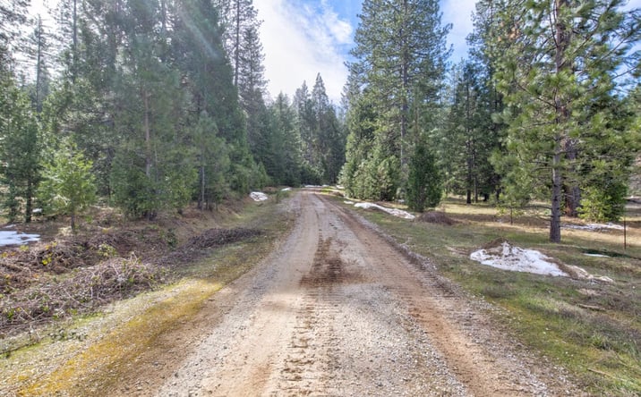 Pictures of Land property located at 0 Hwy 88, Pioneer, CA 95666 for sales - image #1