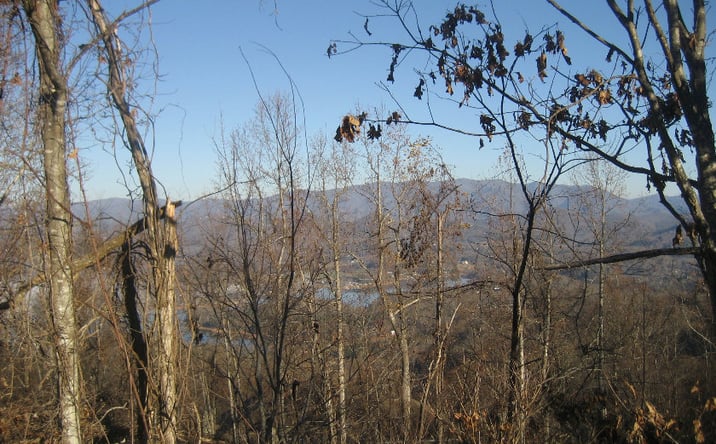 Pictures of Land property located at LT 68 Eagles View, Hayesville, NC 28904 for sales - image #1