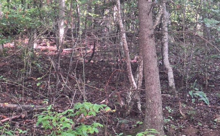 Pictures of Land property located at Coopers Creek, Suches, GA 30572 for sales - image #1