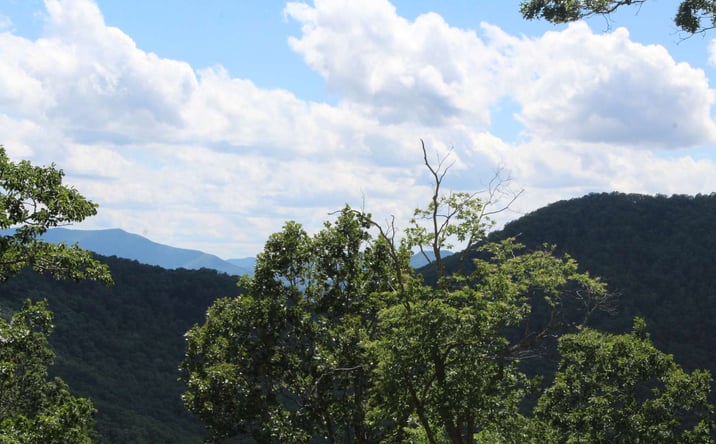 Pictures of Land property located at 143 Shiloh Ridge, Hayesville, NC 28904 for sales - image #1