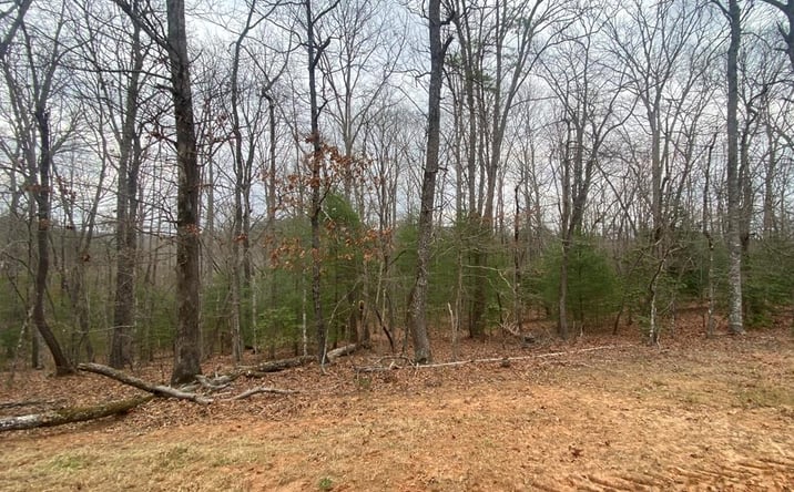 Pictures of Land property located at Lot 8 Tomahawk Trail, Blairsville, GA 30512 for sales - image #1