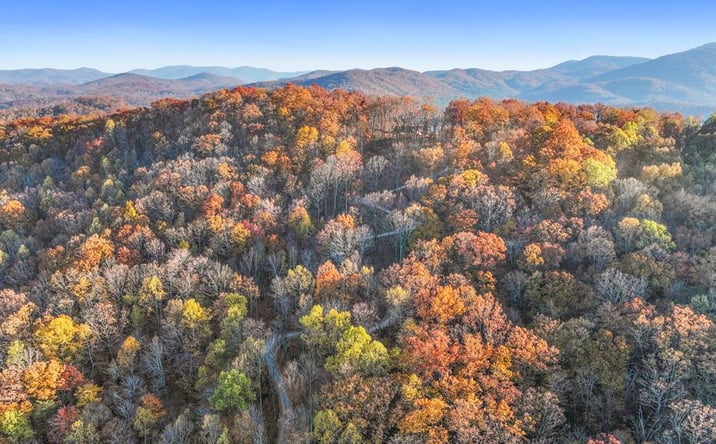 Pictures of Land property located at Lot 4 Wilderness Way, Blue Ridge, GA 30513 for sales - image #1