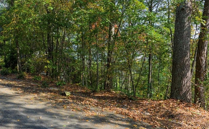 Pictures of Land property located at L81 Lillie Drive, Ellijay, GA 30540 for sales - image #1