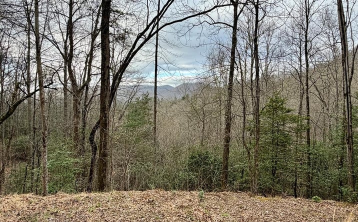Pictures of Land property located at Lot 13 The Highlands, Hiawassee, GA 30546 for sales - image #1
