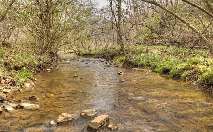 Pictures of Land property located at Lt 54-56 Black Gum Ii & Iii, Blue Ridge, GA 30513 for sales - image #1