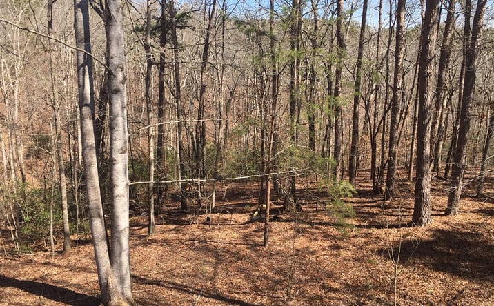 Pictures of Land property located at Lot 10 Olivia Lane, Ball Ground, GA 30107 for sales - image #1