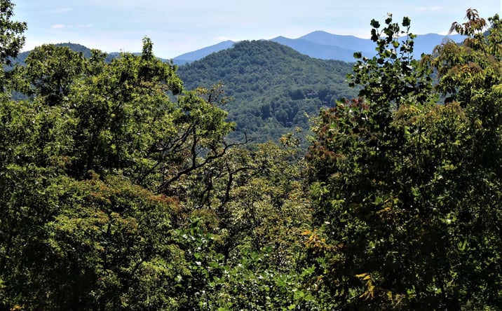 Pictures of Land property located at B&D W Cherry Road, Hayesville, NC 28904 for sales - image #1