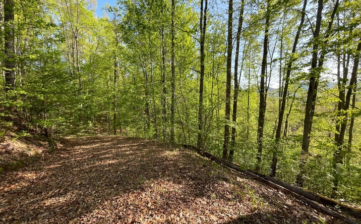 Pictures of Land property located at Lot 1C Lakewood Hills, Hayesville, NC 28904 for sales - image #1