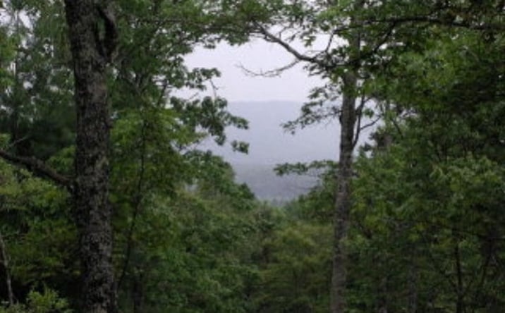 Pictures of Land property located at 19D&E Braves Landing, Murphy, NC 28906 for sales - image #1