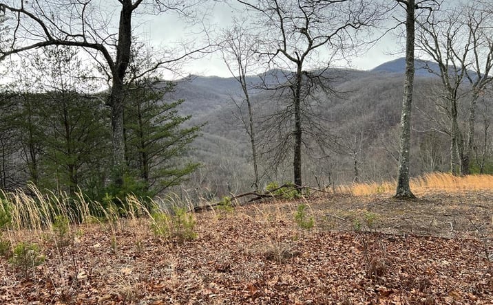 Pictures of Land property located at Lot 137 Shiloh, Hayesville, NC 28904 for sales - image #1