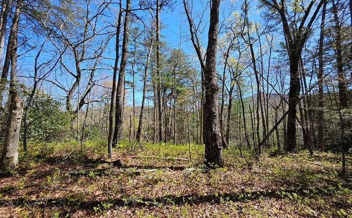 Pictures of Land property located at 5.2 Deer Crest Road, Blue Ridge, GA 30513 for sales - image #1