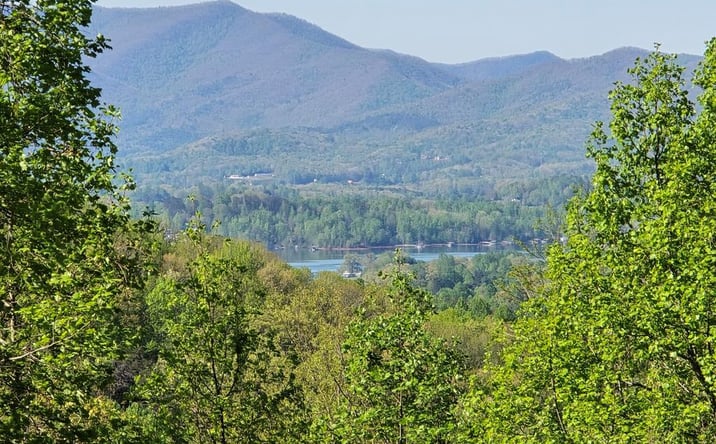 Pictures of Land property located at LT 10 High Meadows, Hayesville, NC 28904 for sales - image #1