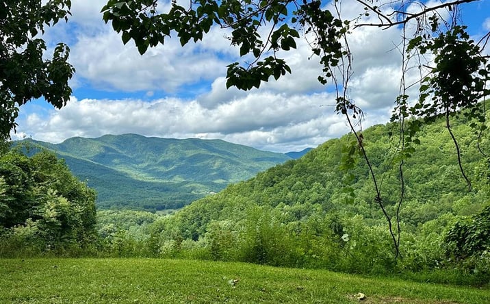 Pictures of Land property located at Lot 32 Shiloh Trail, Hayesville, NC 28904 for sales - image #1