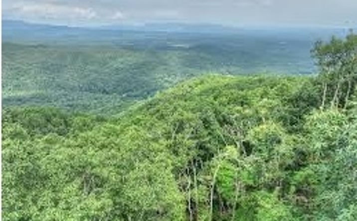 Pictures of Land property located at Lot 34 Lt 34 Utana Bluffs, East Ellijay, GA 30540 for sales - image #1