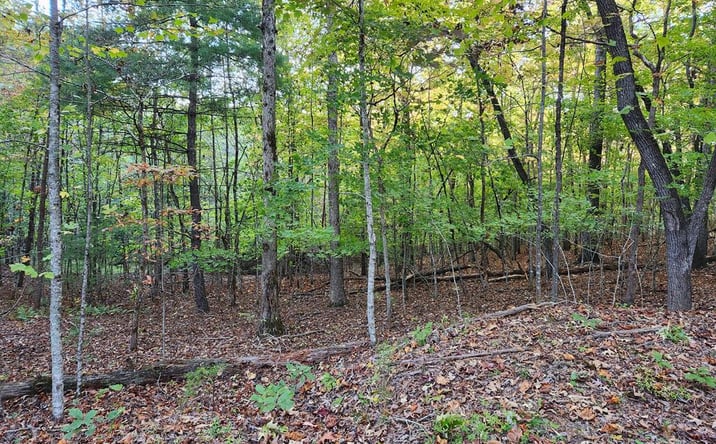 Pictures of Land property located at North View Trail, Mineral Bluff, GA 30559 for sales - image #1