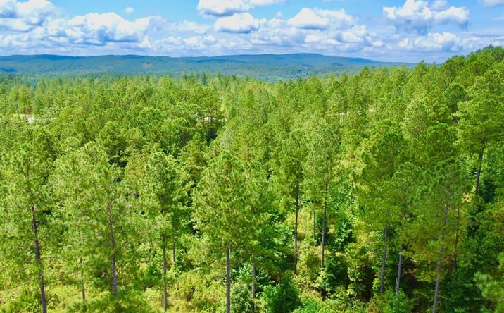 Pictures of Land property located at 82 Barrell Knot Court, Talking Rock, GA 30175 for sales - image #1