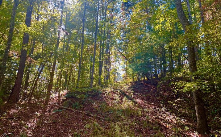 Pictures of Land property located at 59 High River Landing, Ellijay, GA 30540 for sales - image #1