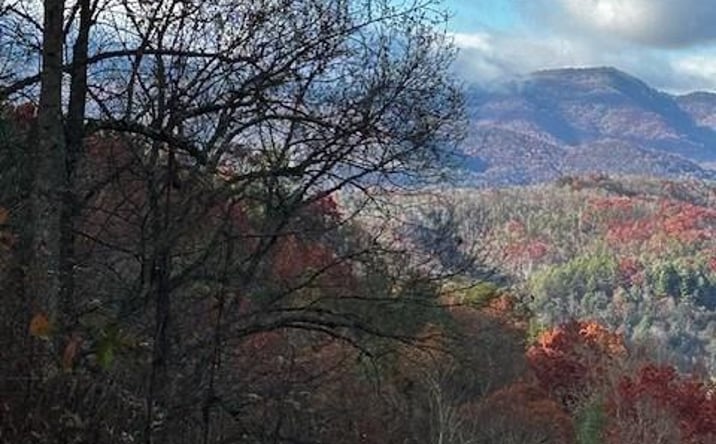 Pictures of Land property located at TBD Upper Peachtree Road, Murphy, NC 28906 for sales - image #1