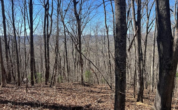 Pictures of Land property located at Lots 7&8 Wikle Road, Hayesville, NC 28904 for sales - image #1