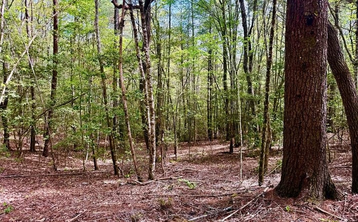 Pictures of Land property located at 59 Rainy Farm Road, Murphy, NC 28906 for sales - image #1