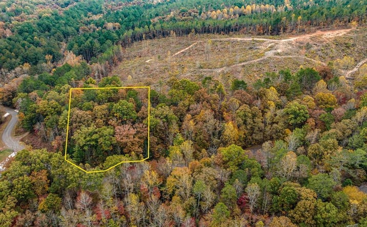 Pictures of Land property located at LOT 49 Lower Creek Trail, Ellijay, GA 30540 for sales - image #1