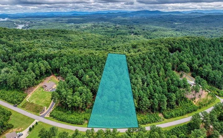 Pictures of Land property located at Lot 169 Thirteen Hundred, Blairsville, GA 30512 for sales - image #1