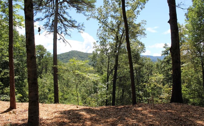 Pictures of Land property located at Lot 5J Eagle Fork Trail, Hayesville, NC 28904 for sales - image #1