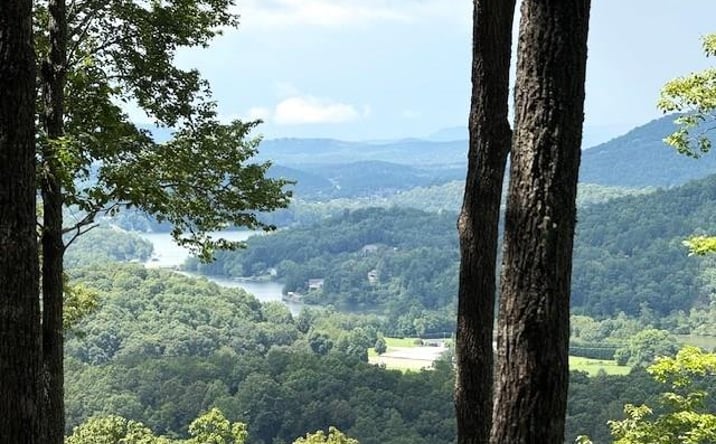 Pictures of Land property located at 19 Buckhead Hills, Hiawassee, GA 30546 for sales - image #1