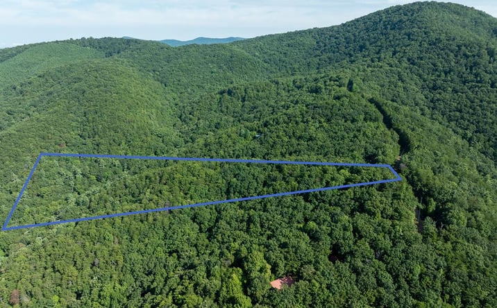 Pictures of Land property located at Lot 9 Brushy Top Drive, Chatsworth, GA 30705 for sales - image #1