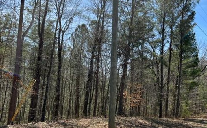 Pictures of Land property located at LT 3 Hunter Ridge, Ellijay, GA 30540 for sales - image #1