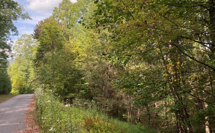 Pictures of Land property located at Lot 58 Gobblers Knob, Suches, GA 30572 for sales - image #1