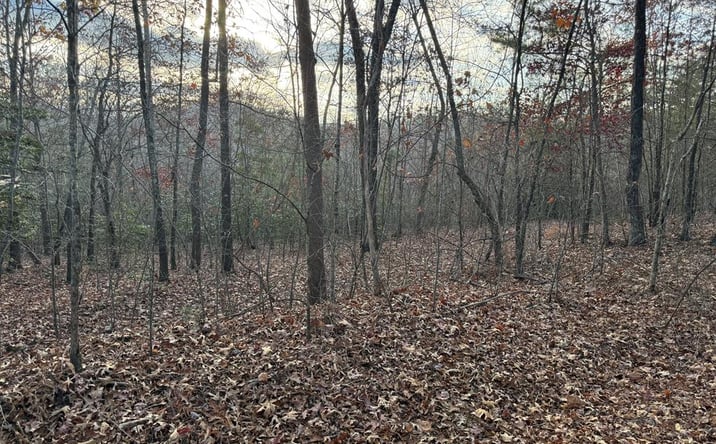 Pictures of Land property located at 28/32 Stuart Ridge Road, Mineral Bluff, GA 30559 for sales - image #1