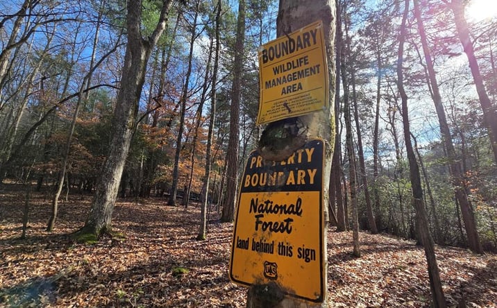 Pictures of Land property located at Lot 10 Wildcat Creek, Suches, GA 30572 for sales - image #1
