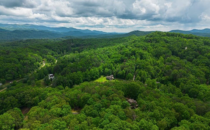 Pictures of Land property located at Tract 1 Century Lane, Blue Ridge, GA 30513 for sales - image #1