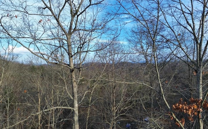 Pictures of Land property located at Tract 2 Century Lane, Blue Ridge, GA 30513 for sales - image #1