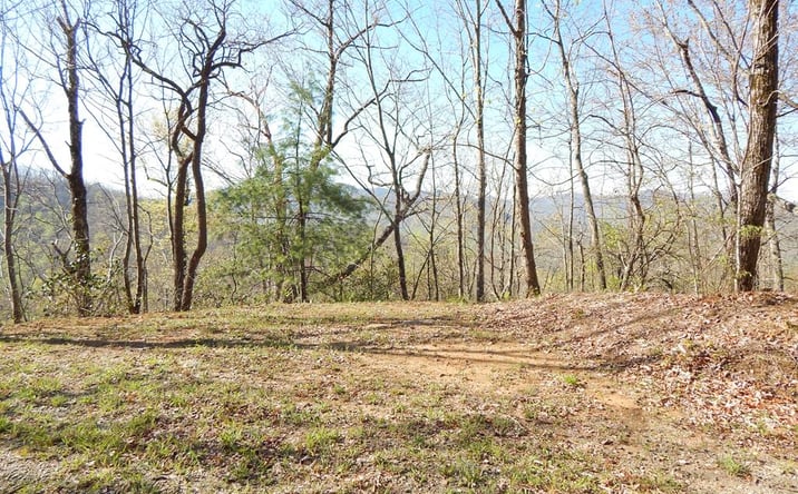Pictures of Land property located at 8-2-10-2 Tree Top Drive, Hayesville, NC 28904 for sales - image #1