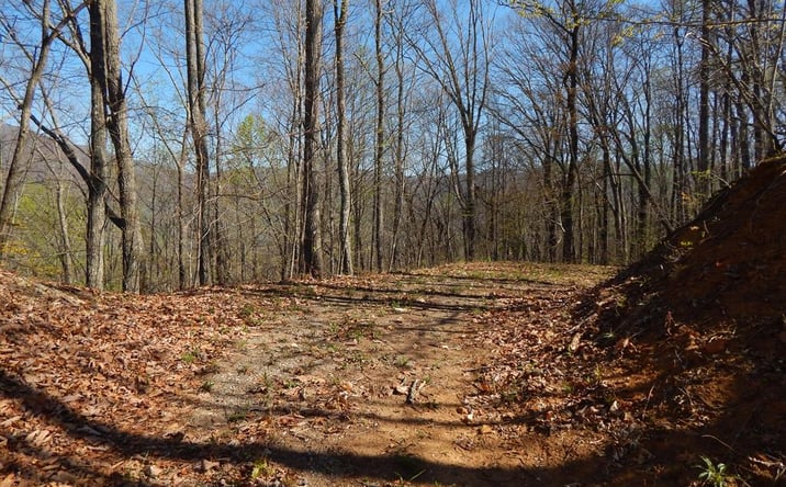 Pictures of Land property located at #1-3&2-3 Burnt Leaf Lane, Hayesville, NC 28904 for sales - image #1