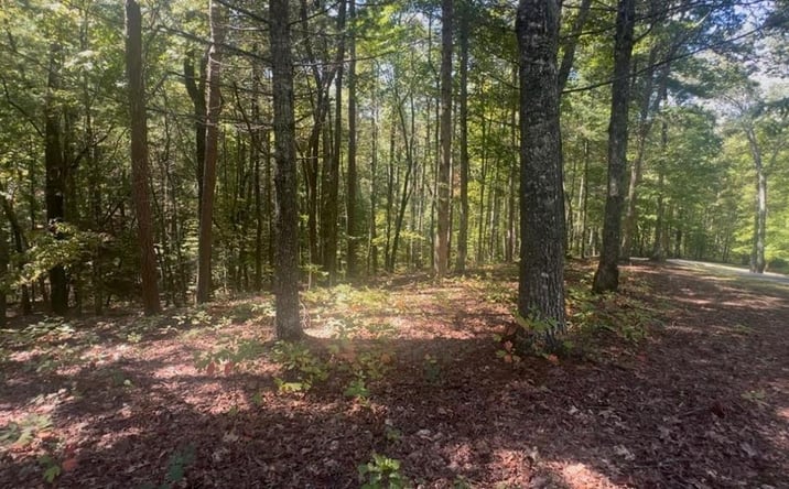 Pictures of Land property located at 1.81 AC Nature Valley Trail, Murphy, NC 28906 for sales - image #1