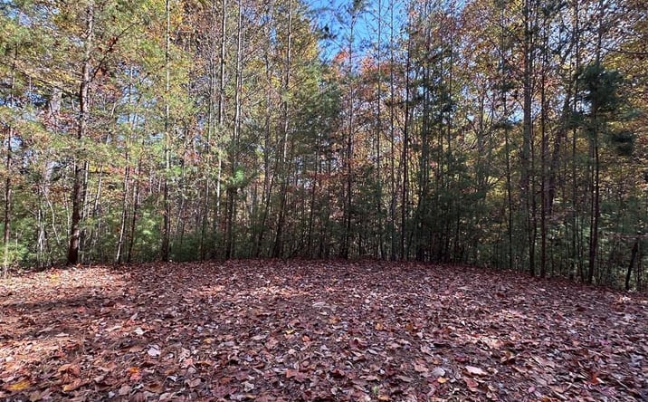 Pictures of Land property located at TBD Atoah Loop, Murphy, NC 28906 for sales - image #1