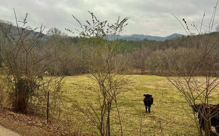 Pictures of Land property located at Hwy 68, Turtletown, TN 37391 for sales - image #1