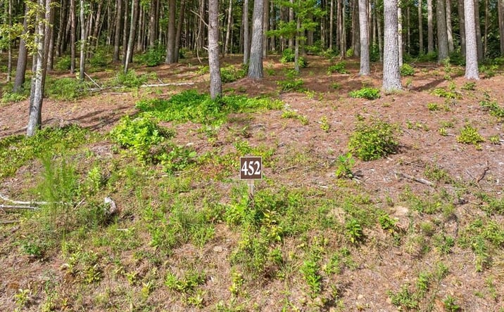 Pictures of Land property located at Lot 452 Woodward Way, Talking Rock, GA 30175 for sales - image #1