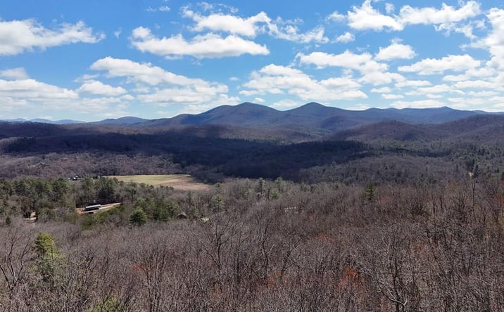 Pictures of Land property located at Lot 12 Native Trail, Blue Ridge, GA 30513 for sales - image #1