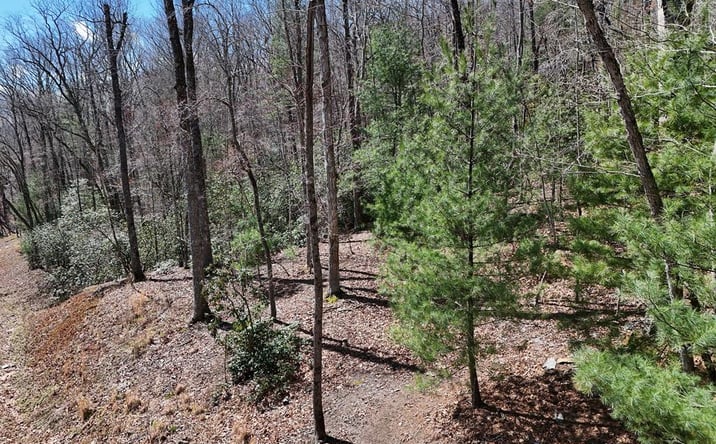 Pictures of Land property located at Lot 9 Native Trail, Blue Ridge, GA 30513 for sales - image #1