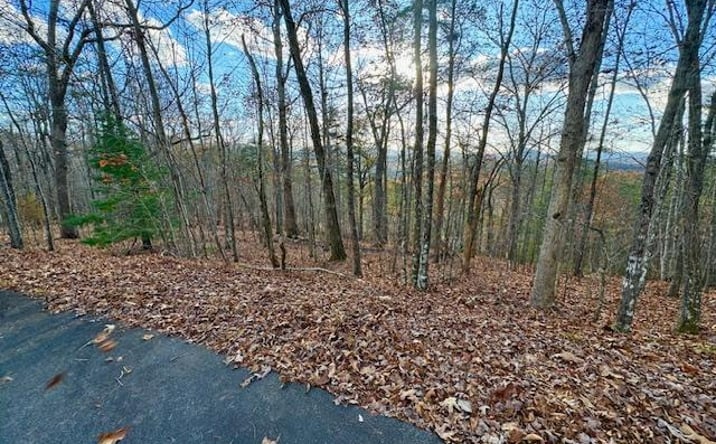 Pictures of Land property located at Lot 49 Mission Ridge, Hayesville, NC 28904 for sales - image #1