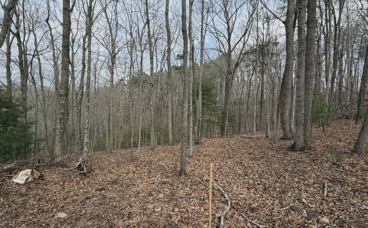 Pictures of Land property located at Tract B2 Mountain Ridge, Blue Ridge, GA 30513 for sales - image #1