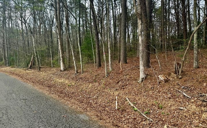 Pictures of Land property located at Hwy 68, Turtletown, TN 37391 for sales - image #1