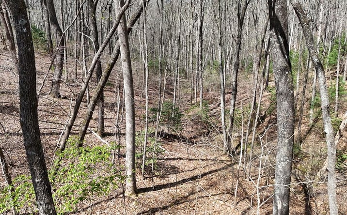 Pictures of Land property located at L129/124 Laurel Crossing, Blue Ridge, GA 30513 for sales - image #1